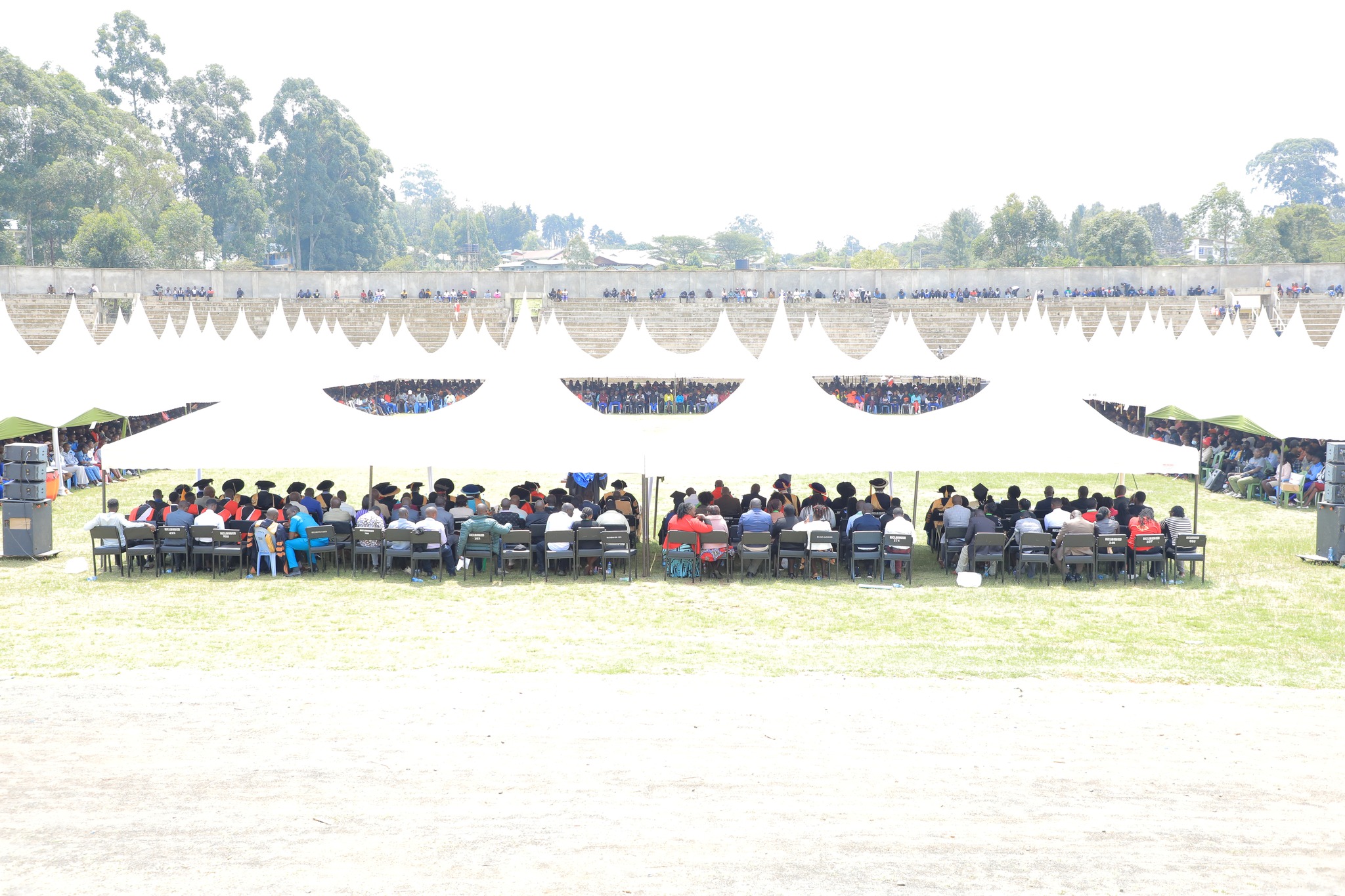 Matriculation 4